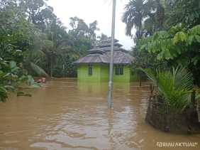 Diguyur Hujan Deras, 35 Rumah di Kampung Baru Koto Kuansing Terendam Banjir