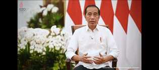 Presiden Cabut Larangan Ekspor CPO Kelapa Sawit