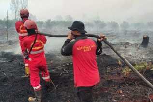Petugas Gabungan Padamkan Karhutla di Empat Kabupaten Kota di Riau