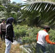 Polsek Bangko Pusako Dukung Ketahanan Pangan Lewat Pembinaan Kelompok Tani