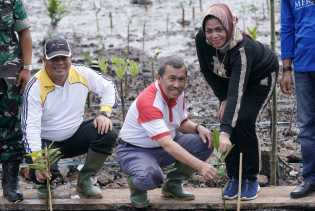 Hari Mangrove, Gubernur Syamsuar Ingin Jadikan Riau Paru-paru Dunia