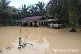 102 KK di Kuantan Mudik Kuansing Terdampak Banjir, Warga Bertahan di Rumah