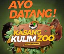 Pemilik Nama Agus Kumpul! Kasang Kulim Zoo Kasih Tiket Gratis Masuk