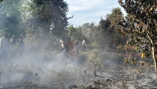 55 Titik Panas Terdeteksi di Riau, Terbanyak di Siak