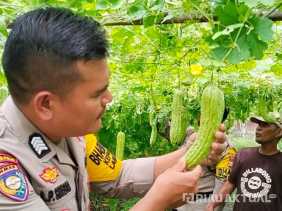 Dukung Ketahanan Pangan Nasional, Polsek TPTM Lakukan Pendampingan Pekarangan Bergizi di Melayu Besar Kota