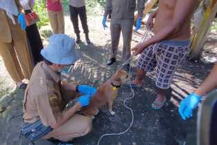 Pemprov Riau Dapat Bantuan 3 Ribu Vaksin Rabies