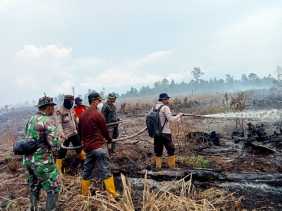 3 Hektare Lahan di Sinaboi Rohil Terbakar, Api Padam dalam 2 Hari
