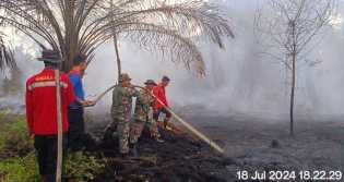 Kebakaran Hutan Kembali Terjadi di Riau, Tim Gabungan Berjuang Memadamkan Api di Siak