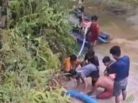 Penambang Emas Ilegal di Kuansing Tewas Tertimpa Pohon Kelapa