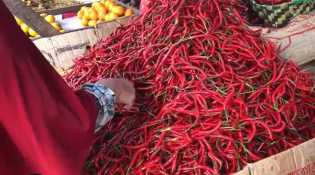 Kepala BPS: Cabai Rawit dan Beras Jadi Penyumbang Kenaikan IPH