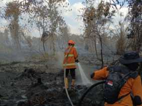 Kalaksa BPBD Kampar: 30 Kasus Karhutla Ditemukan, Mayoritas di Karya Indah Tapung