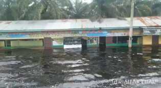 Banjir Setinggi Dada Rendam Pelalawan, Ratusan Warga Mengungsi