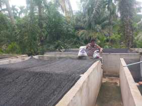 Polsek Bangko Pusako Bina Ketahanan Pangan di Teluk Bano I