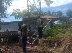 Petik Buah Matoa, Pria di Kampar Tewas Kesetrum di Atap Pos Ronda