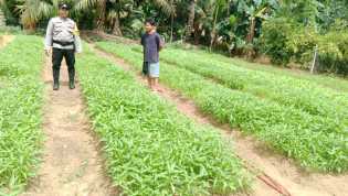 Polsek Bangko Pusako dan Petani Bina Ketahanan Pangan Dukung Program Asta Cita Presiden