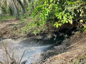Sungai Diduga Tercemar Limbah Pabrik, KNPI Rambah Samo Ancam Gugat PT RSM