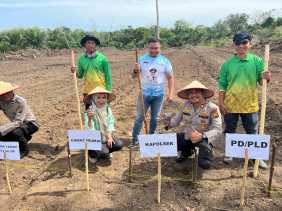 Polres Kuansing Kawal Penanaman Jagung Serentak Dukung Program Asta Cita Presiden RI