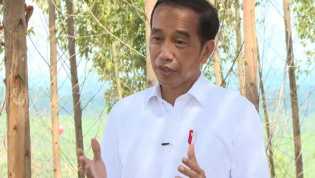 Usulan Perayaan HUT RI di IKN Nusantara, Presiden Jokowi: Kita Lihat Nanti