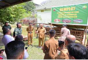 Wabup Bengkalis Tinjau Demplot Ayam Petelur Koramil 01 Bengkalis