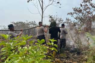 Karhutla Meluas di Meranti, 110 Hektare Lahan Terbakar