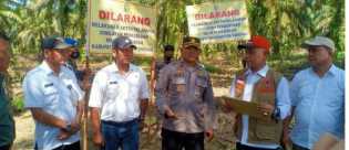 Pemkab Ambil Alih Pengelolaan Sawit Perhentian Sungkai 