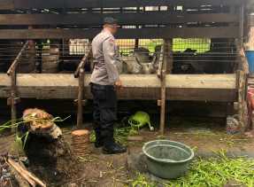 Polsek Bangko Pusako Gelar Pembinaan Kelompok Tani di Kepenghuluan Pematang Ibul