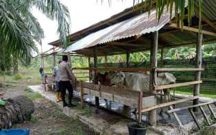 Realisasi Asta Cita Presiden RI, Polsek Bangko Pusako Dorong Ketahanan Pangan