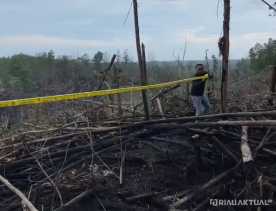 Polisi Pasang Police Line di TNTN Habitat Gajah dan Harimau, 5 Hektare Sengaja Dibakar