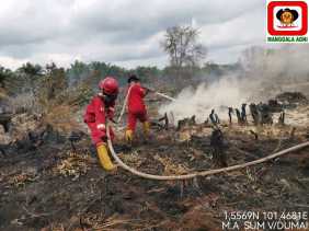 Kebakaran Hutan dan Lahan Mengancam Kota Dumai, Tim Gabungan Berjibaku Memadamkan Api