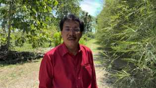 Tanggapi Video Bupati Siak, Begini Penjelasan APHI Riau