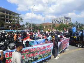 Aliansi Masyarakat Penyelamatan Gajah Dukung Satgas PKH Relokasi TNTN