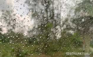 Hujan Guyur Sebagian Wilayah Riau, BMKG Ingatkan Waspada Petir dan Angin Kencang