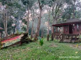 Berlibur Sembari Melihat Gajah Di Taman Wisata Alam Buluh Cina