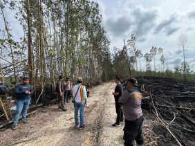 Polisi Pasang Police Line di TNTN Pelalawan, 5 Hektare Habitat Gajah dan Harimau Diduga Sengaja Dibakar