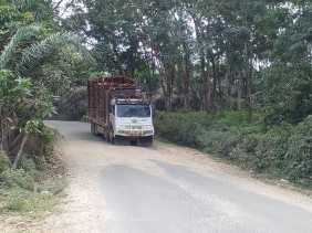 Warga Kuansing Keluhkan Debu dan Jalan Rusak akibat Truk Kayu RAPP