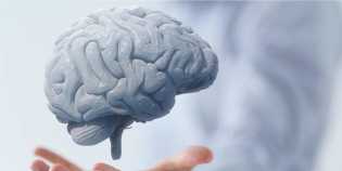 Berikut 5 Cara Mudah untuk Mencegah Otak Menjadi Tumpul
