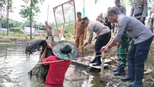 Polsek Bangko Pusako Panen Ikan Lele, Dukung Ketahanan Pangan di Rokan Hilir