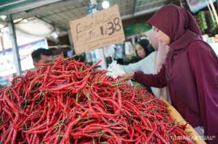 Imbas Gagal Panen, Harga Cabai Merah di Pekanbaru Meroket Hingga Rp80.000 per Kilogram