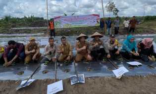 Polsek Langgam Ikut Tanam Cabai Rawit Dukung Ketahanan Pangan