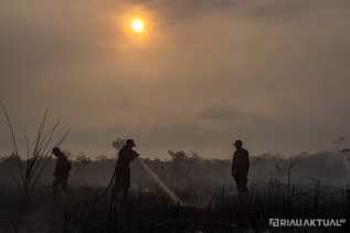 383 Titik Panas Terpantau di Riau, Rokan Hilir Terbanyak