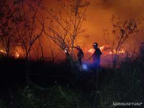 5 Hektare Lahan Terbakar di Tapung