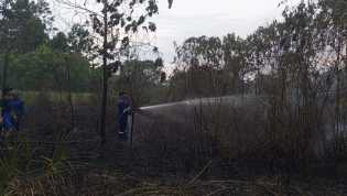 Ancaman Karhutla Ditengah Kemarau, 11 Hektar Lahan di Pekanbaru Terbakar