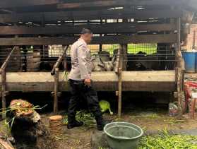 Polsek Bangko Pusako Bina Ketahanan Pangan di Kepenghuluan Pematang Ibul