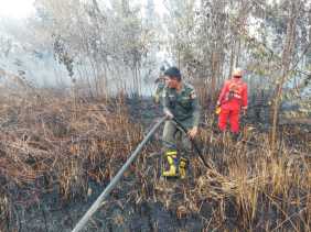 Petugas Manggala Agni dan TNI Berjibaku Padamkan Kebakaran Lahan di Kampar
