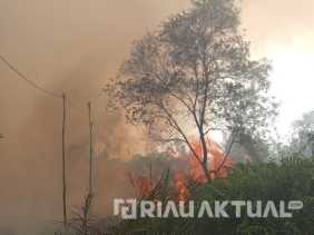 Karhutla di Riau Capai 312 Hektar, Pemadaman Terkendala Lahan Gambut