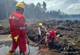 Kebakaran Hutan dan Lahan Landa Suaka Margasatwa Giam Siak Kecil