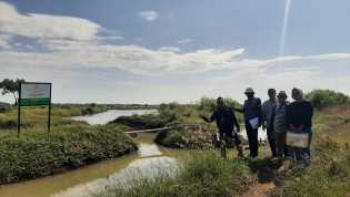 Tanah 10 Hektar Milik Koruptor Jiwasraya Benny Tjokrosaputro di Tangerang Dilelang, Laku Rp4,54 Miliar