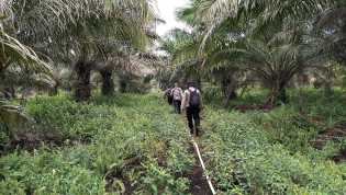 Hujan Tak Surutkan Kewaspadaan, Kapolsek Bangko Pusako Pimpin Patroli Titik Karhutla di Teluk Bano