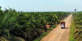 PT Eka Dura Indonesia Pastikan Sudah Bangun Kebun Plasma 25% dari HGU di Rokan Hulu