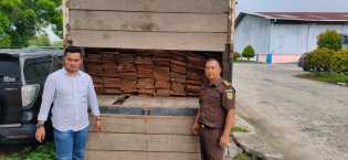 Tiga Terdakwa Kasus Illegal Logging Divonis 1 Tahun Penjara, JPU Banding